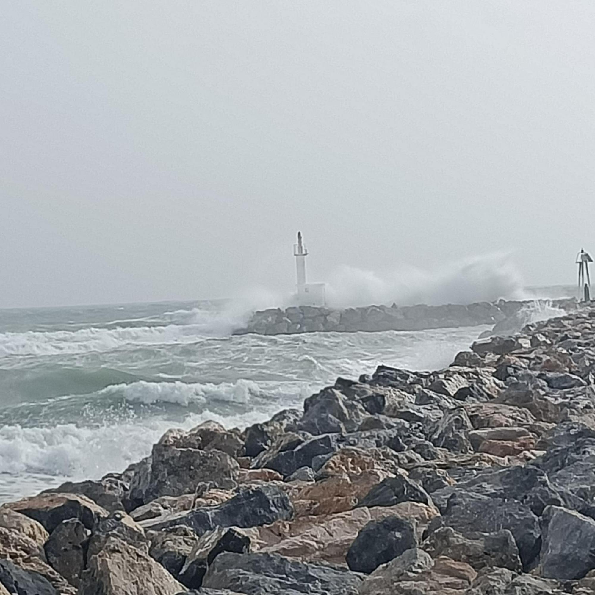 Studio Les Pieds Dans L'Eau App N°7 Le Barcarès Exteriör bild